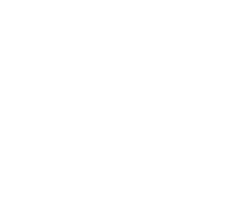 UN Habitat